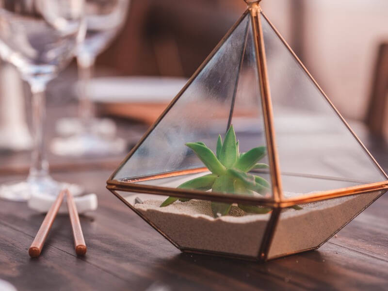 A glass terrarium on a table with wine glasses in the background